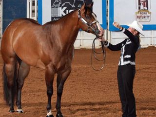 aqha.com