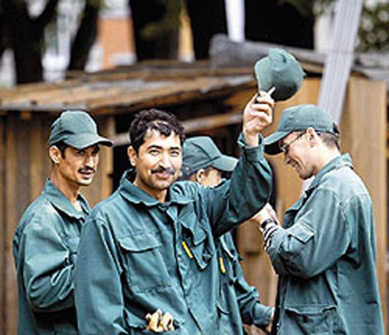 гастрабайтеры