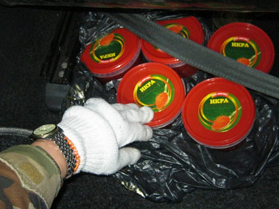 контрабанда икры