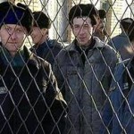 колония - фото: mediazavod.ru