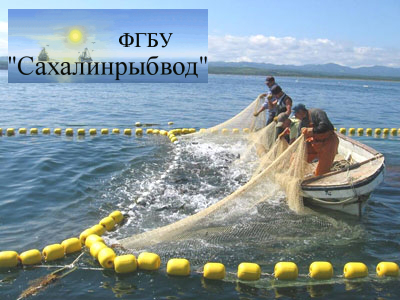 Сахалинрыбвод - фото:fish.gov.ru