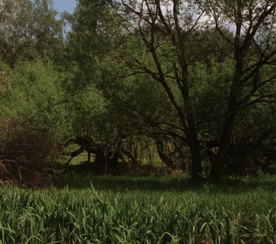 Victor Guryev / Russian Look