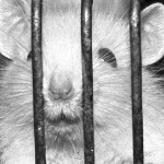 фото: Nikolay Parkhomenko / Russian Look