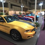 фото: STEPHEN SHAVER