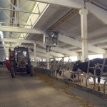 фермерское хозяйство - фото:  Eugeniy Kiselev / Russian Look