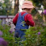 Пенсионному фонду РФ причинен ущерб на сумму 5,58 млн. рублей.