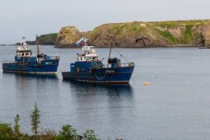 Росрыболовство снимет барьеры