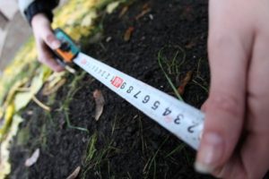 Чиновничий квартет украл землю у села